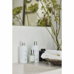 Besorgen ? Lexington Original Towel Gästetuch - 30x50 Cm - Green Leaves ❤️ 6 Besorgen ? Lexington Original Towel Gästetuch - 30x50 Cm - Green Leaves ❤️ -Cawö store unnamed file 1169