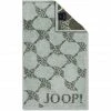 Bestes Angebot ✔️ JOOP! Classic Cornflower Gästetuch - 30x50 Cm - Salbei ✔️ -Cawö store unnamed file 129